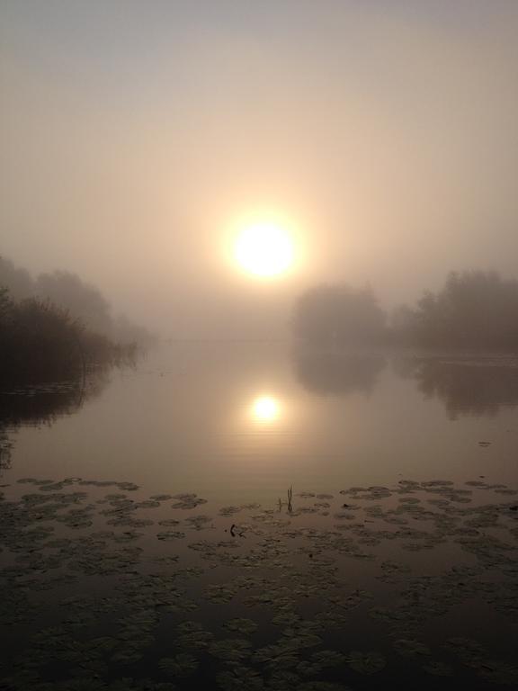 Studio Lakeside Spiegelplas Nederhorst den Berg Pokój zdjęcie