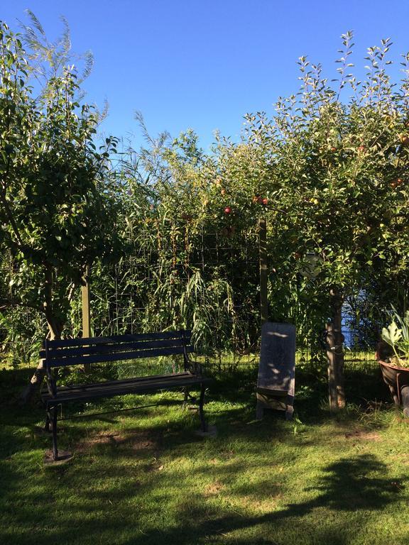 Studio Lakeside Spiegelplas Nederhorst den Berg Zewnętrze zdjęcie