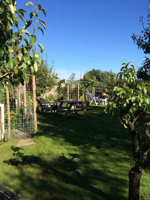 Studio Lakeside Spiegelplas Nederhorst den Berg Zewnętrze zdjęcie